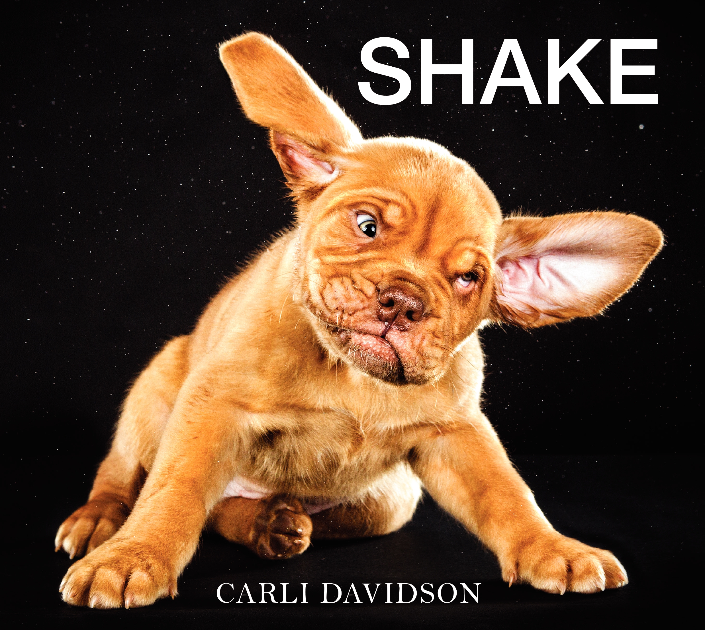 Book Launch: Shake by Carli Davidson