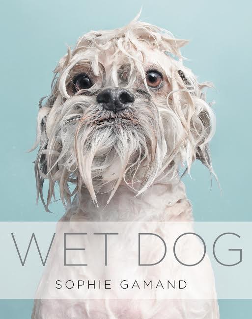 Book Launch: Wet Dog by Sophie Gamand