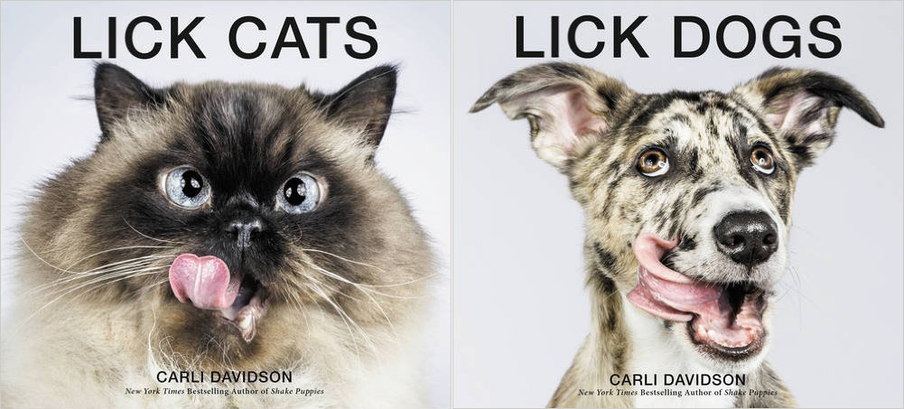 Book Launch: Lick Cats and Lick Dogs by Carli Davidson