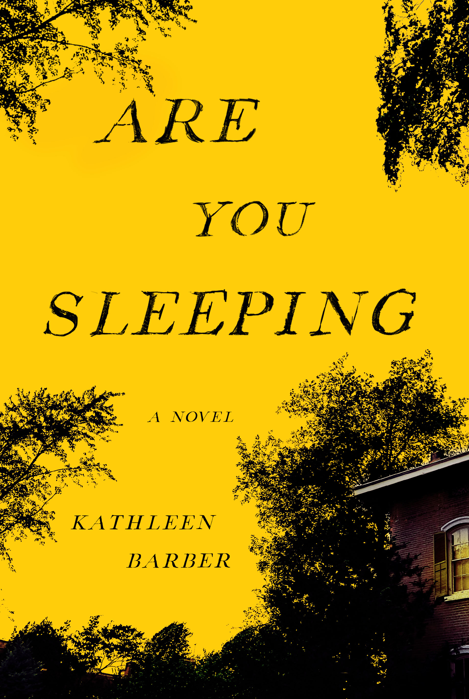 Book Launch: Are You Sleeping by Kathleen Barber