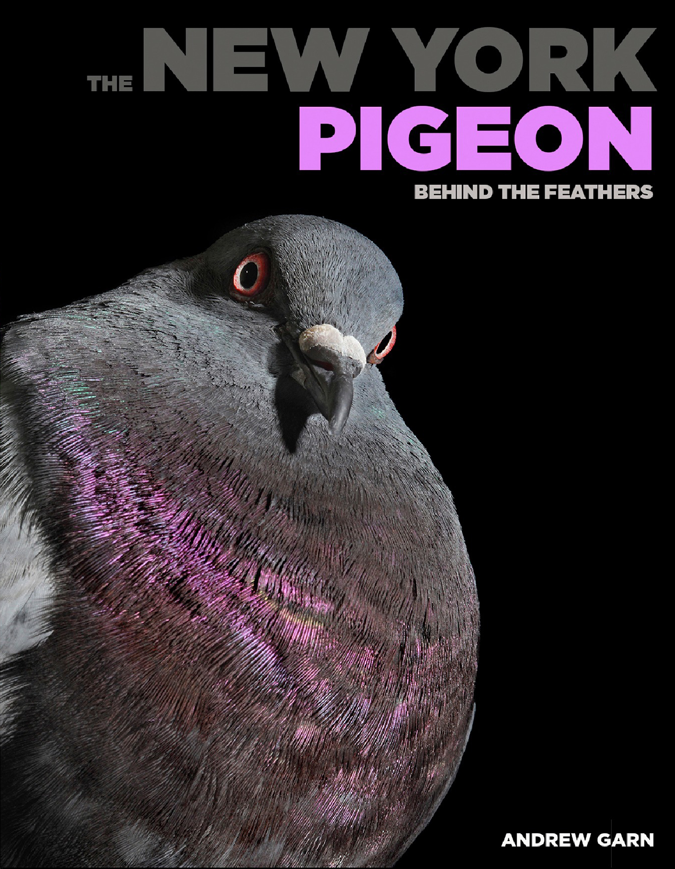 powerHouse Book Launch: The New York Pigeon: Behind the Feathers by Andrew Garn