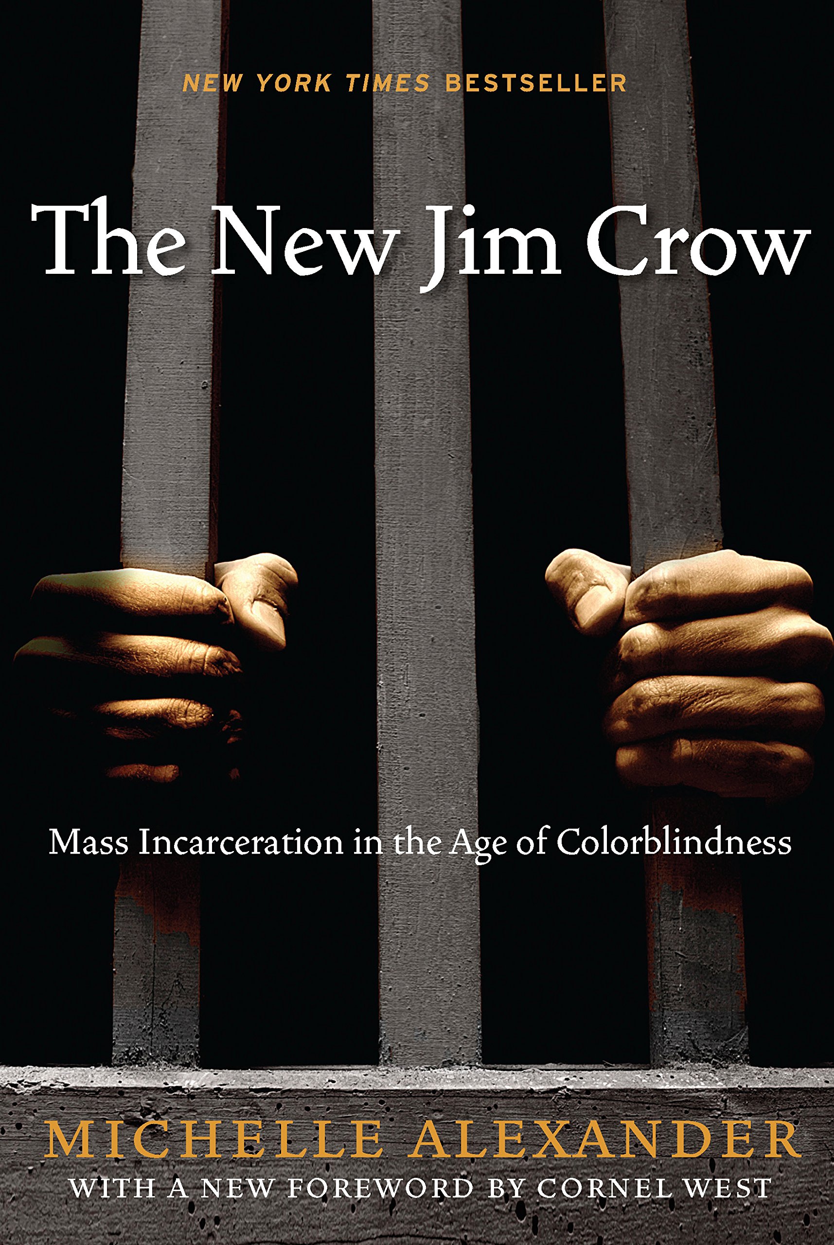 NYC Social Justice Book Club: The New Jim Crow by Michelle Alexander (POSTPONED)