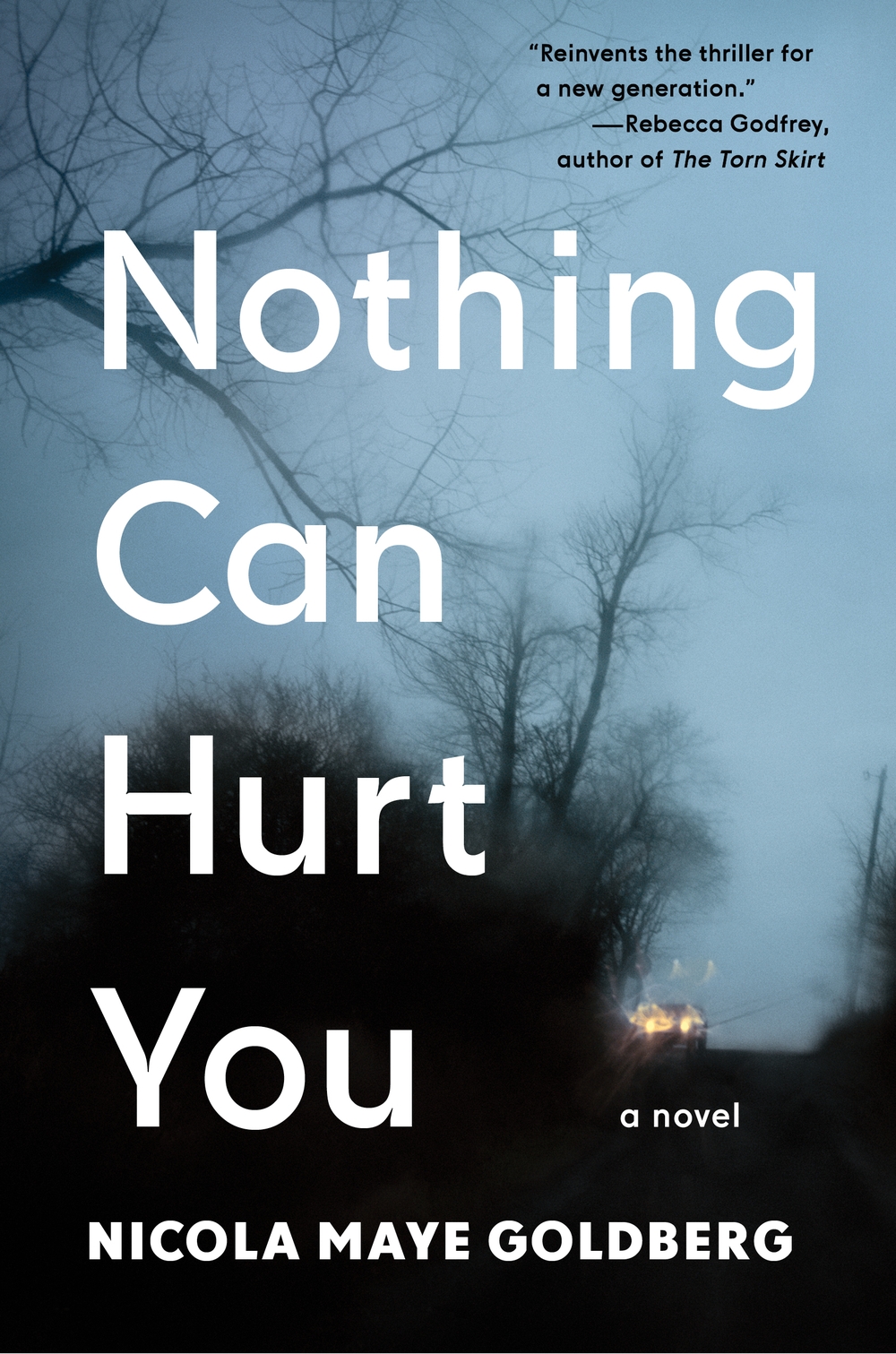 Virtual Book Launch: Nothing Can Hurt You by Nicola Maye Goldberg in conversation with Rebecca Godfrey