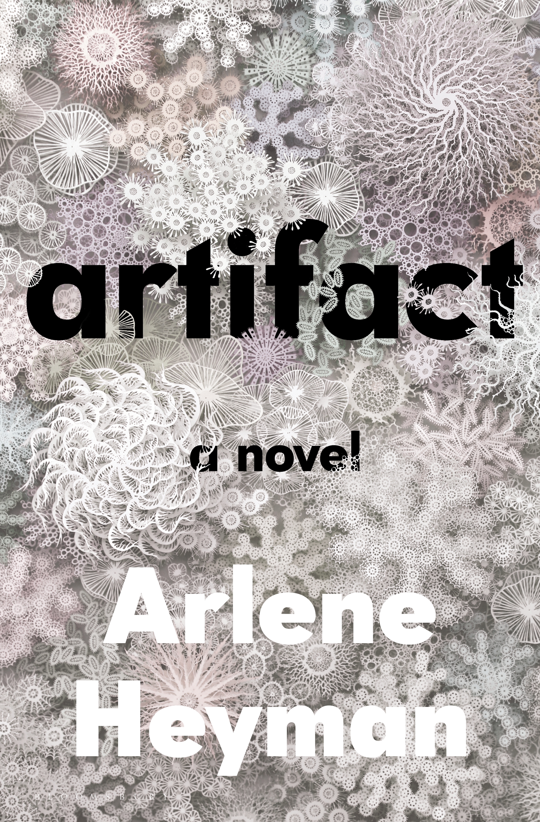 Virtual Book Launch: Artifact by Arlene Heyman in conversation with Sandra Newman