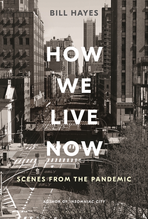 Virtual Book Launch: How We Live Now by Bill Hayes in conversation with Roz Chast