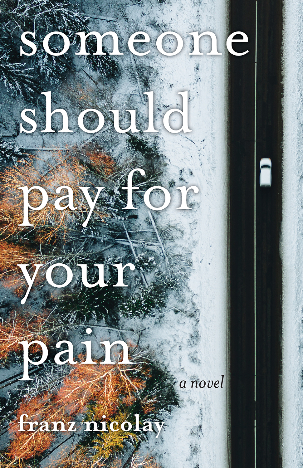 Book Launch: Someone Should Pay for Your Pain by Franz Nicolay in conversation with Darcey Steinke