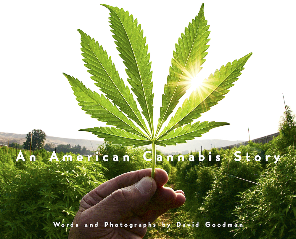Book Launch: An American Cannabis Story by David Goodman in conversation with Danny Danko