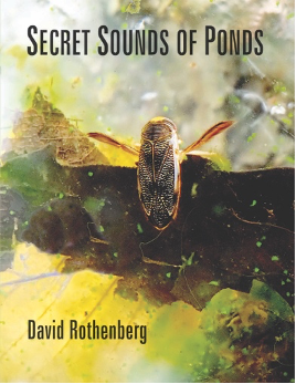 Book Launch: Secret Sounds of Ponds by David Rothenberg w/ Edwin Torres and Ilgın Deniz Akseloğlu