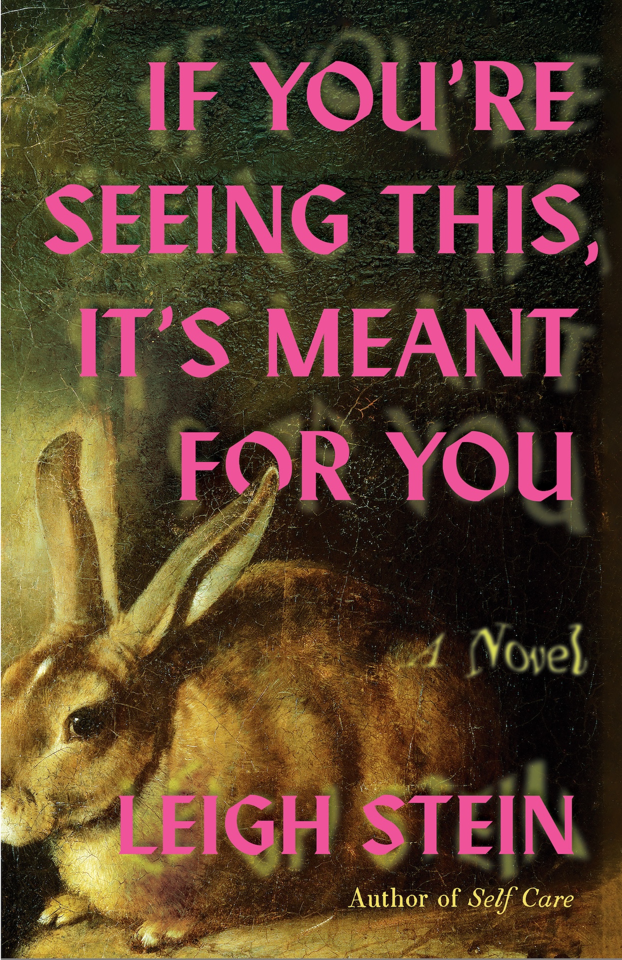 Book Launch: If You're Seeing This, It's Meant For You by Leigh Stein in conversation with Josh Lora