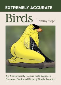 Book Launch: Extremely Accurate Birds by Tommy Siegel in conversation with Billy Libby
